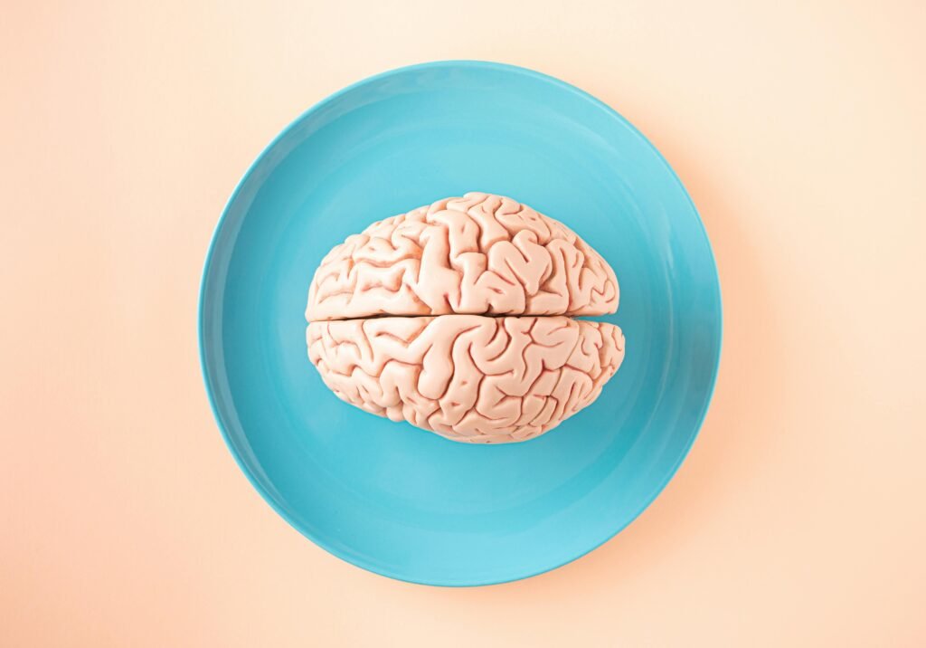 A model of a human brain on a blue plate, symbolizing mental nourishment and rewiring.