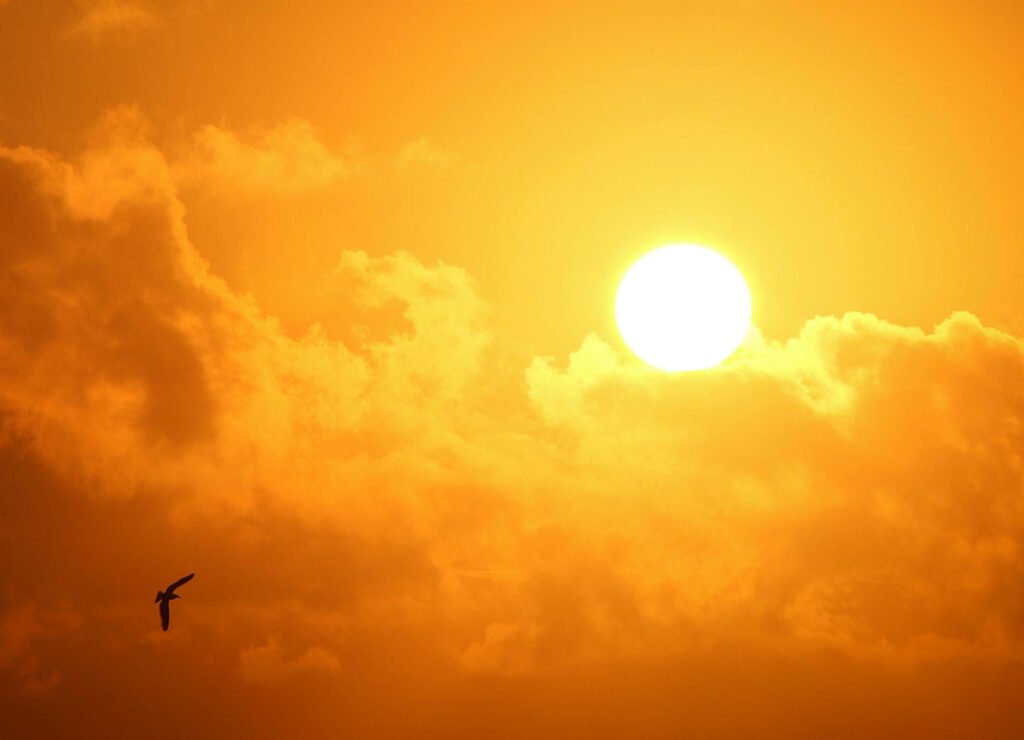 get enough sun to get out of a rut